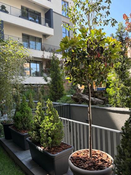 8.12 Residence -Comision 0-Apartament 4 cam, constructie noua, Barbu Vacarescu - 2