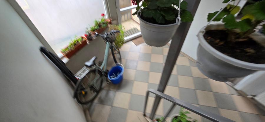 Service auto si vila de locuit Unirea Odobesti - 39