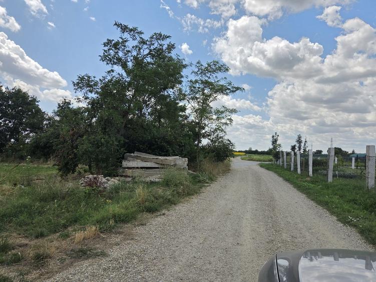 Teren de 5000 mp, în Buriaș