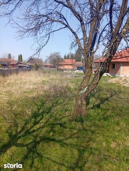 Teren de 1000 mp, în Central