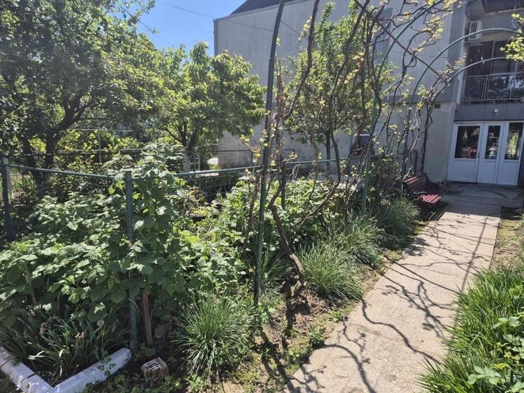Apartament semidecomandat în Vidra