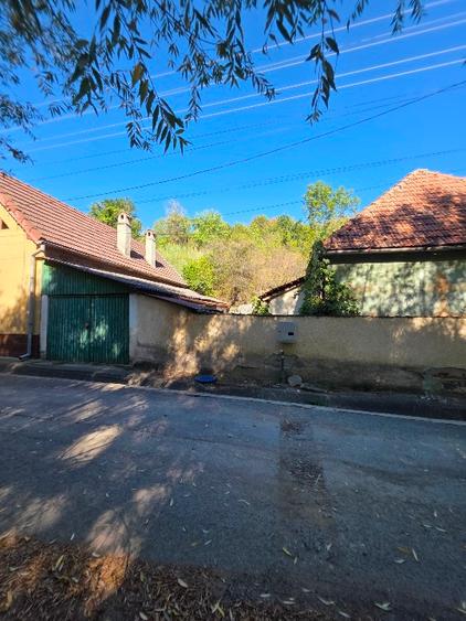 Casă individuală cu 5 camere cu Teren 4000 Mp în Pianu de Sus
