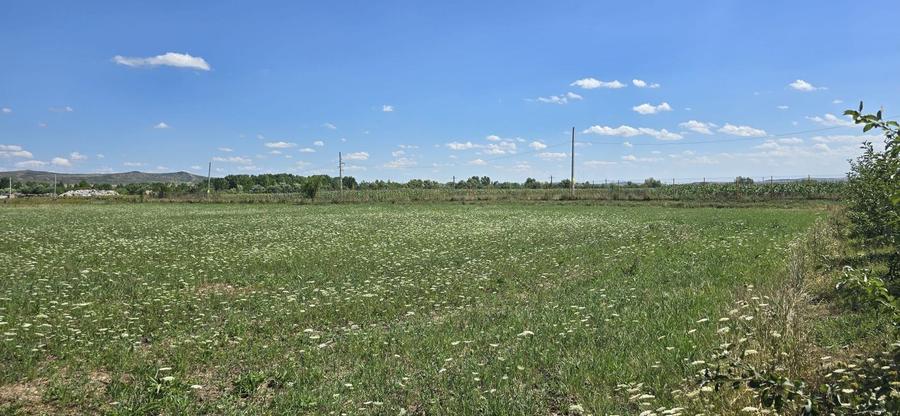 Teren Construcții intravilan de 23020 mp, în Răscruci