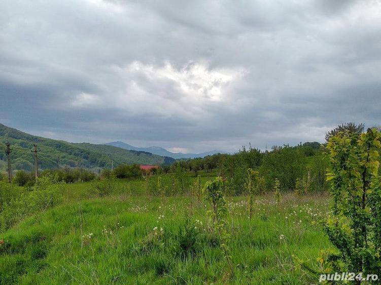 Conac boieresc si teren de vanzare, Drajna de Sus, jud. Prahova - 8