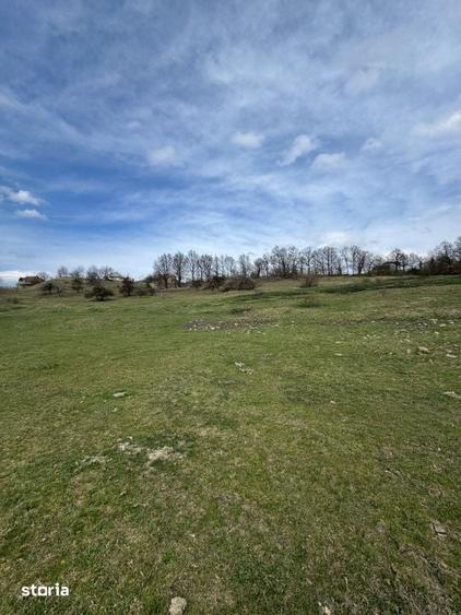 Teren intravilan 1.17ha cu panorama superba si PUZ aprobat Baia Sp - 5
