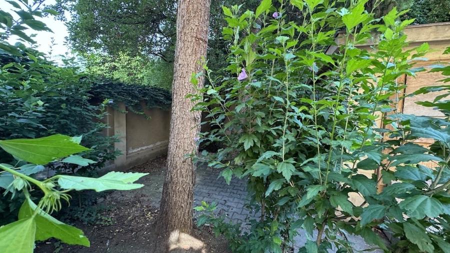 Casă individuală cu 5 camere cu Canalizare în Casin