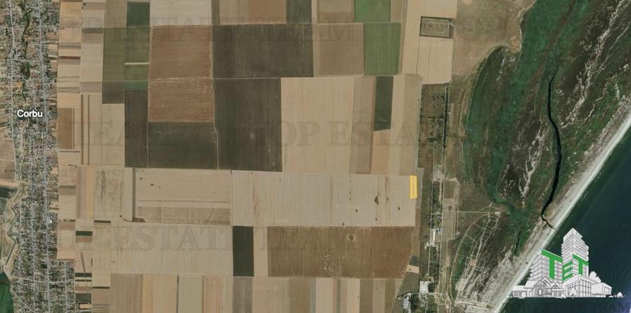 Teren extravilan 5000 mp Corbu, cu deschidere pe 3 laturi - 6