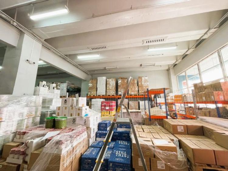 Theodor Pallady, spatiu 500mp - 3