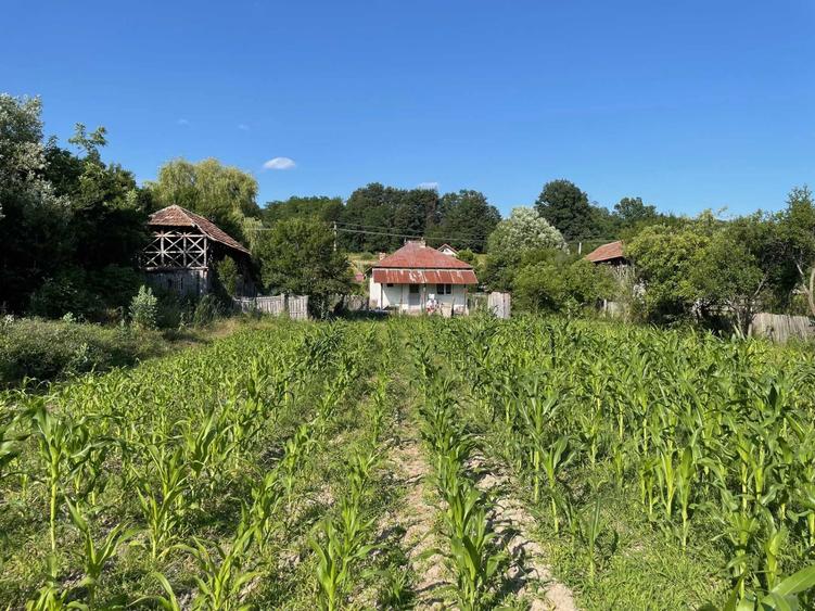 Vand Casa + teren 12.000 mp in Cernisoara, sat Modoia, Valcea - 8