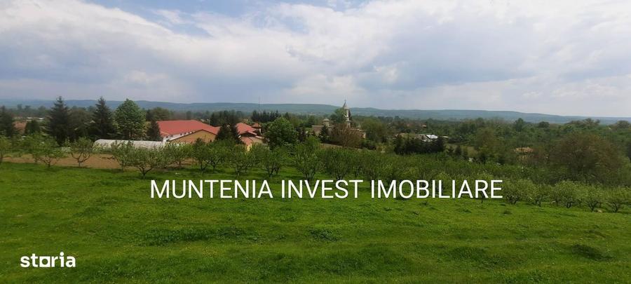 Proprietate de vanzare tip ferma, teren 28150 mp. Balilesti, Arges - 8