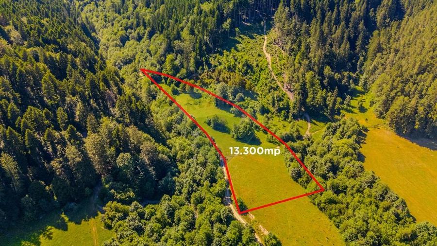 COMISION 0% Teren Bradet 7300 + 6000 mp/ Sacele /Intravilan - 2