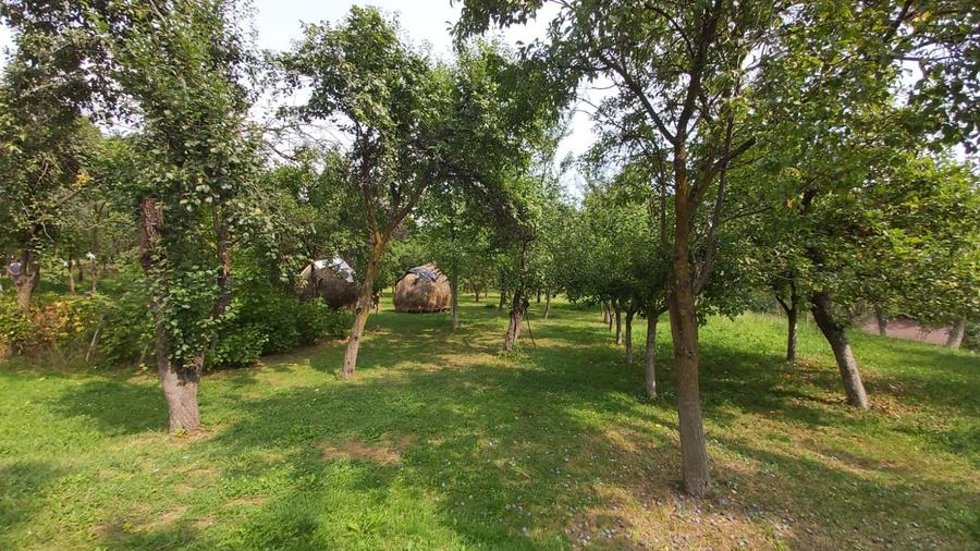 Oportunitate vanzare 6000 mp teren drept,superb toate utilitatile Breaza Prahova - 2