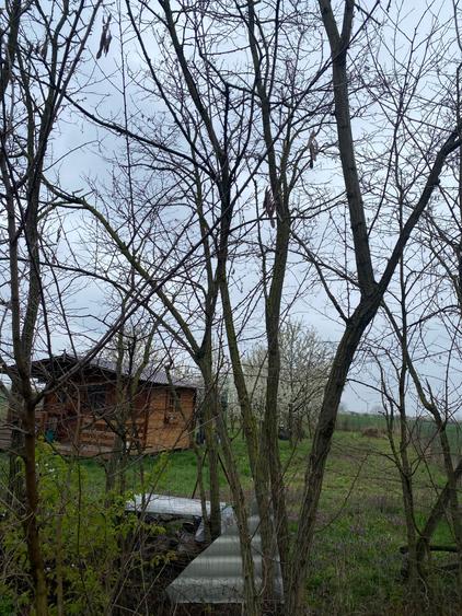 Vanzare teren intravilan Lazuri - 8