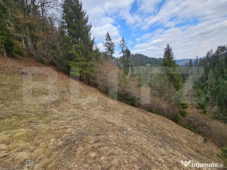 Teren 22.267 mp (intravilan + extravilan) cu construc?ie, T - 6