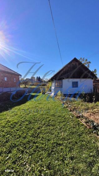 Teren intavilan, 4800 mp, front la strada, utilitati, Rasca - 5