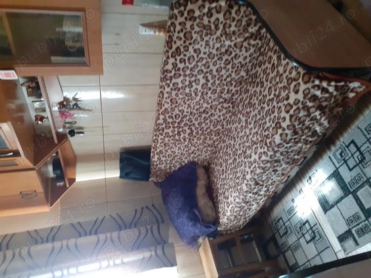 Camera camin Concas - 4