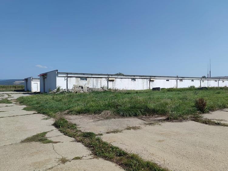 Spatiu productie/ depozitare, 600 mp, Brasov - Bod. - 1