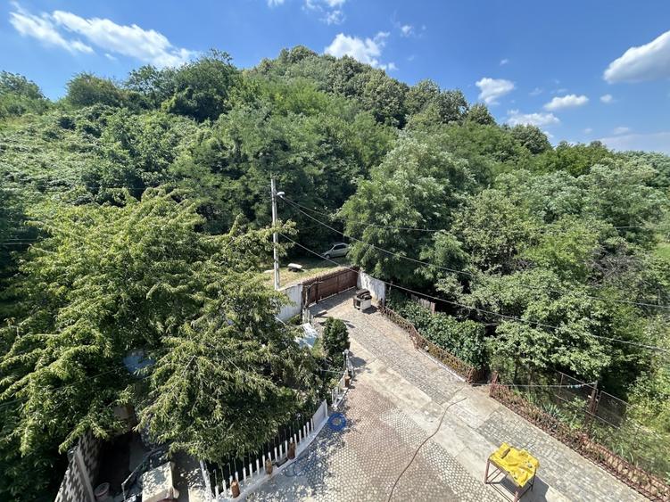 VAND O VILA IN PADUREA DIN FILIPESTI - 22