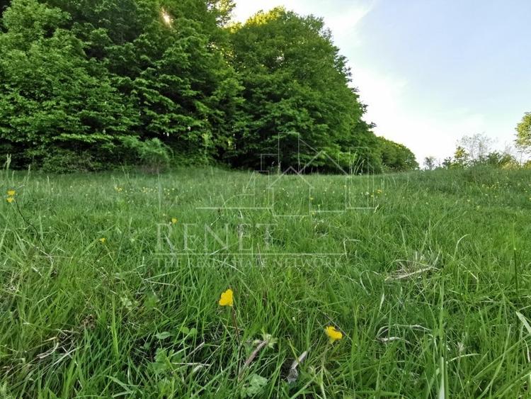 Oportunitate de Investiție - Teren de Basm in Bascov. DIRECT PROPRIETAR. - 1