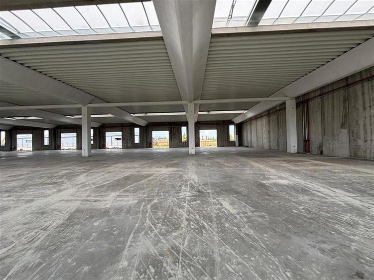 Vanzare depozit/spatiu industrial/hala Chitila - Rudeni, ILFOV - 10