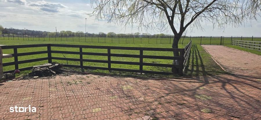 Ferma Zootehnica de Vanzare 6 Ha | Vaci si Oi | Grajd si Saivane | Cal - 6