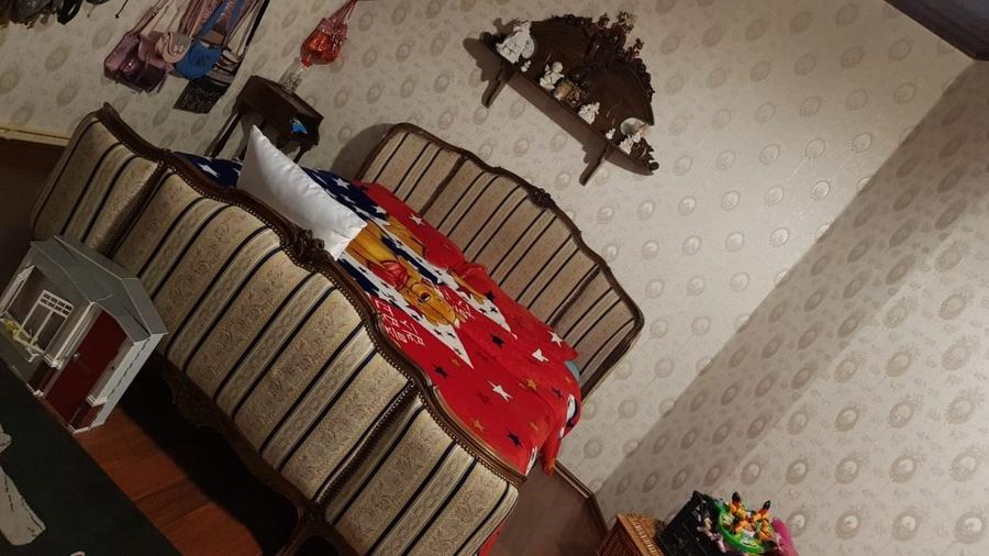 Sanandrei central casa vila 2-3 familii 280 mp-600 mp teren - 18