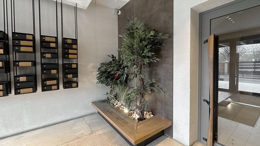 Zona Linistita Terasa Suprafata Generoasa - 7