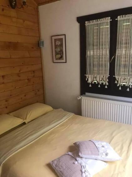 Pensiune montana cu 3200 mp teren in Bicaz, judet Neamt - 8