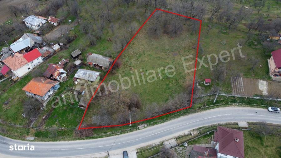 Teren de vanzare in comuna Cepari, judet Arges. - 4