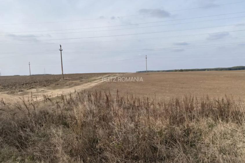 Teren extravilan 5000mp, Malu Mare, 0 comision la cumparator