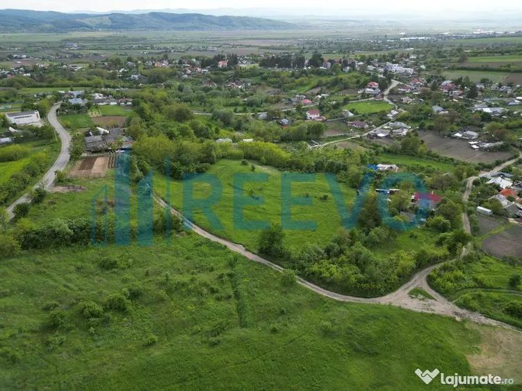 Teren de vanzare, Com. Racova, Str. Bradului, Bacau - 7