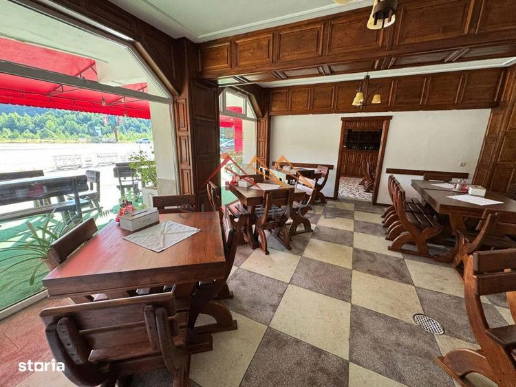 Oportunitate unica Valea Prahovei, hotel+vila+business, teren 8137 mp - 9