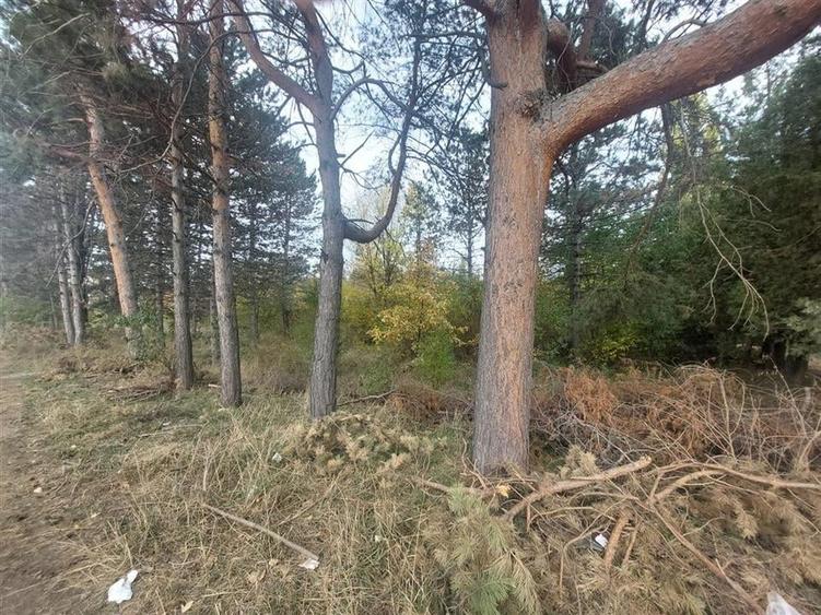 TEREN DE VANZARE 2000 MP IN VECINATATEA RAFO CU DESHIDERE LA SOSEAUA INDUSTRIILO - 5