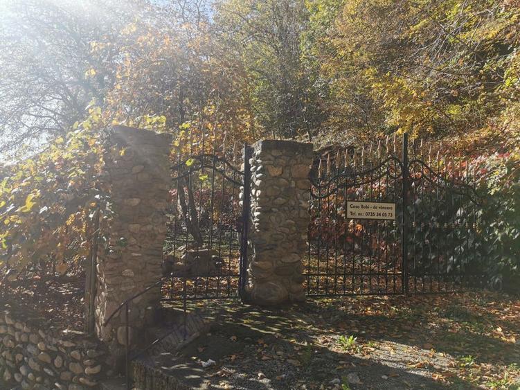 Vila Luminis & Casa Bobi isi cauta noi proprietari - 9