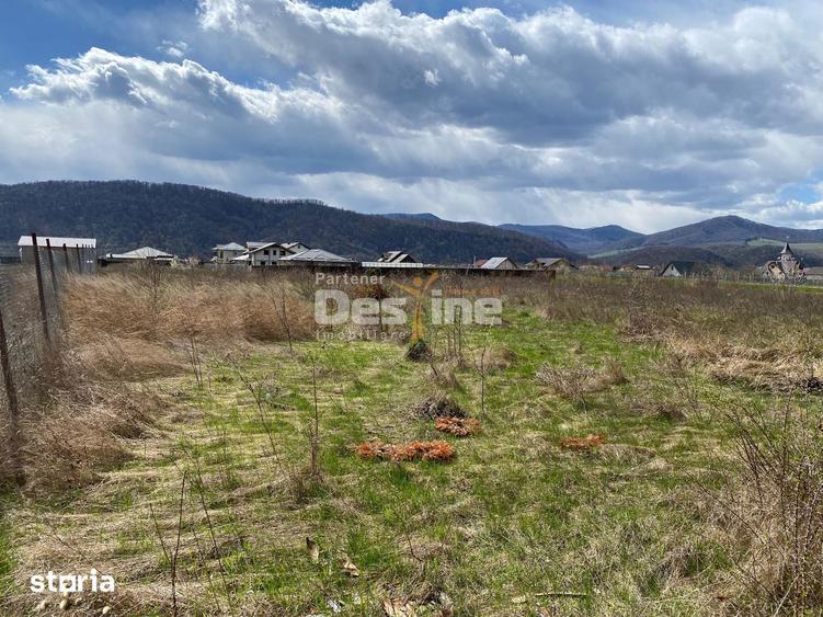 Teren de vanzare Dumbrava Rosie 20.000 Euro 900mp - 14