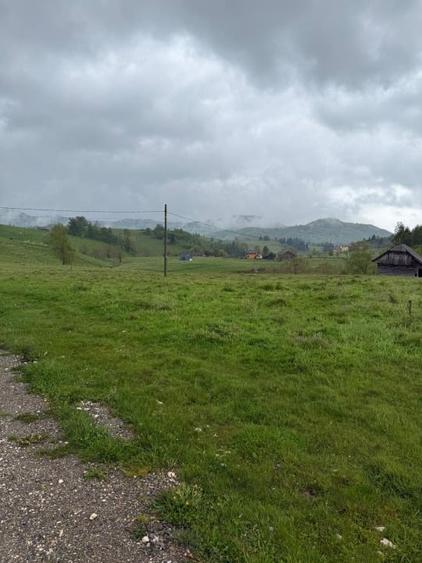 Teren extravilan de vânzare – 9.232 mp – Șirnea, Fundata, Brașov 🏞️ - 1