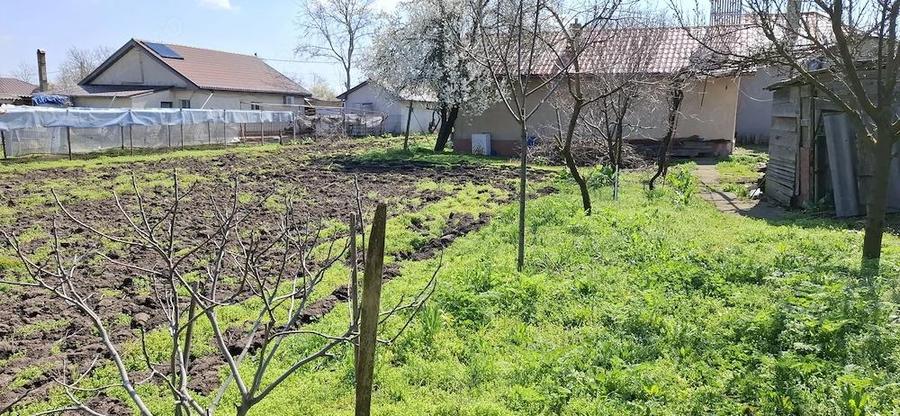 Casa Ciocarlia 100 mp + 1600 mp curte - 9