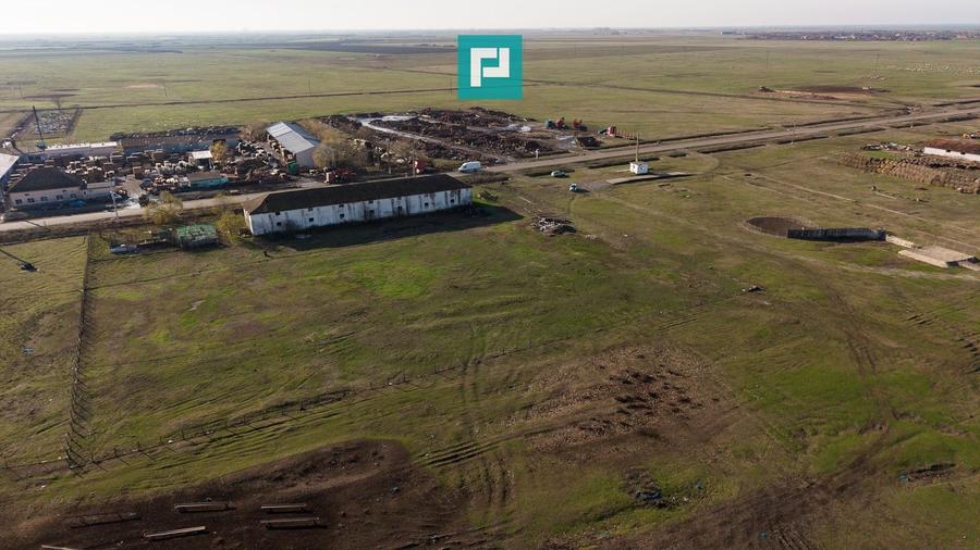 Hală industrială cu teren generos în Zărand, Arad - 35