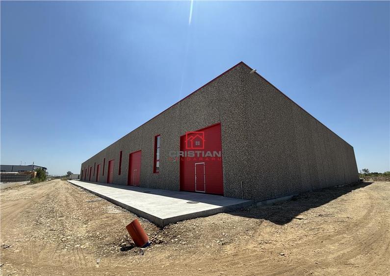 Depozit/spatiu industrial/hala Chitila - Rudeni, ILFOV - 8