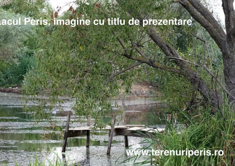 Terenuri IN RATE 500 /luna, teren 25 Peris, Tancabesti - 8