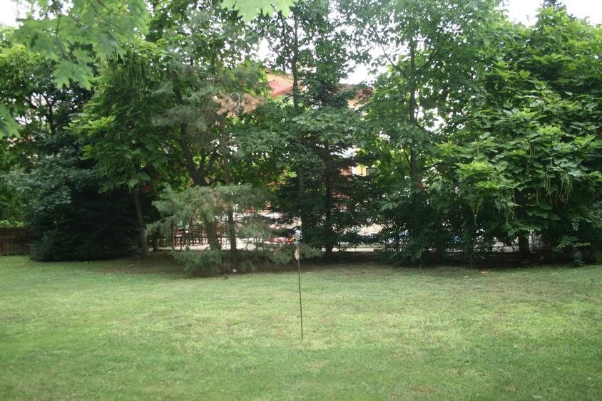 Vanzare vila superba D+P+1+M gradina garaj piscina teren 2500mp Pipera padure - 6