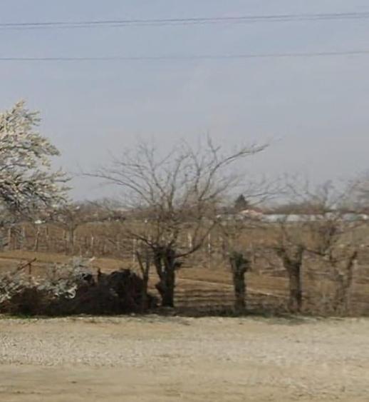 Teren centru Magurele - 2