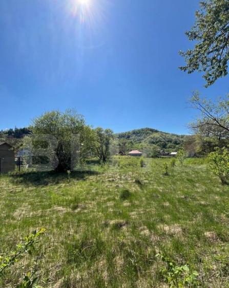 Teren de 30 ari de vanzare in Bistri?a Bargaului zo - 2