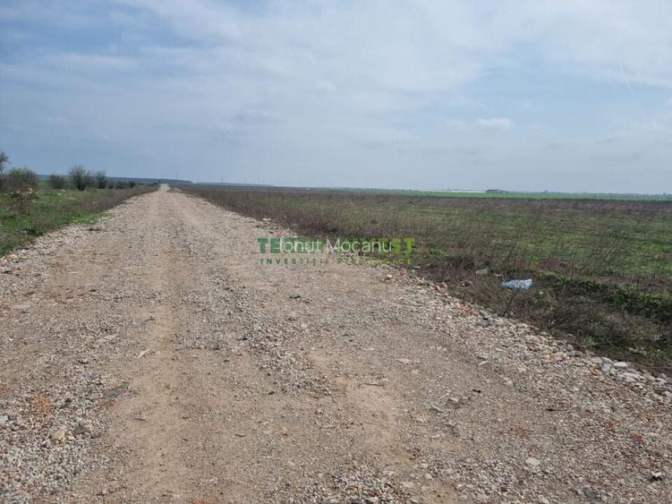 TEREN INDUSTRIAL 20.000 MP - CERNICA - A2 PUZ APROBAT