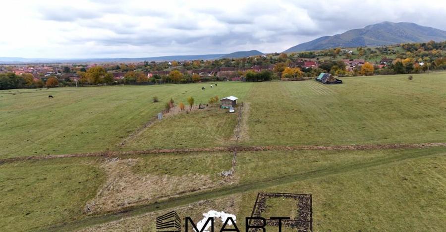Teren extravilan 2200 mp in Orlat - 3