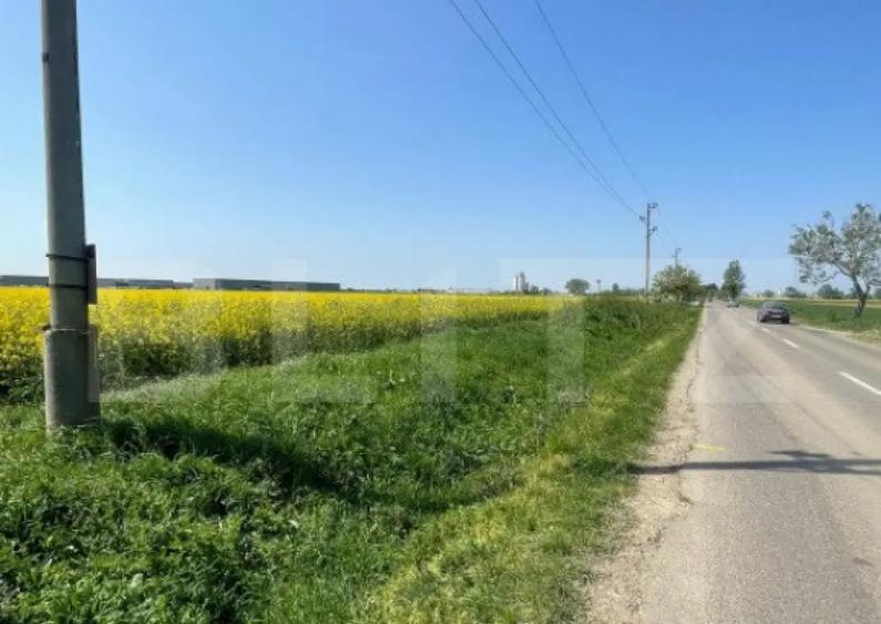 Teren intravilan de vanzare, 20.000 mp, zona-Santandrei\Pal - 3