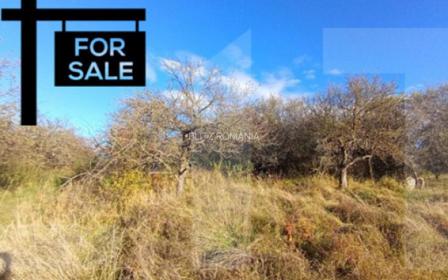 Oportunitate de investitie in zona Wonderland