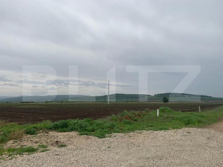 Teren intravilan, 6759 cu PUZ pentru hala, zona Alba-Sebes l - 3