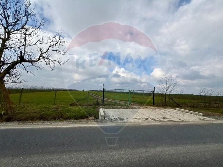 Teren extravilan Săcele ideal pentru silozuri, fermă sau investiție - 1