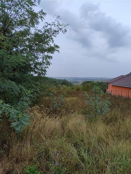 RECO Teren intravilan Lazareni - 1